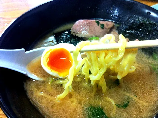 Snapdishの料理写真:味玉ラーメン|たりさん