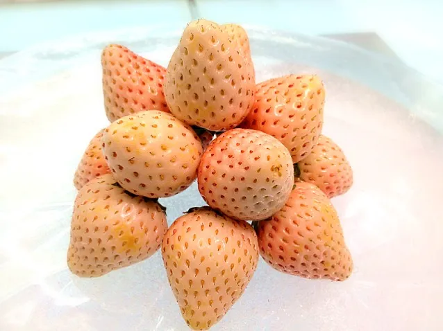 white strawberries|willzさん