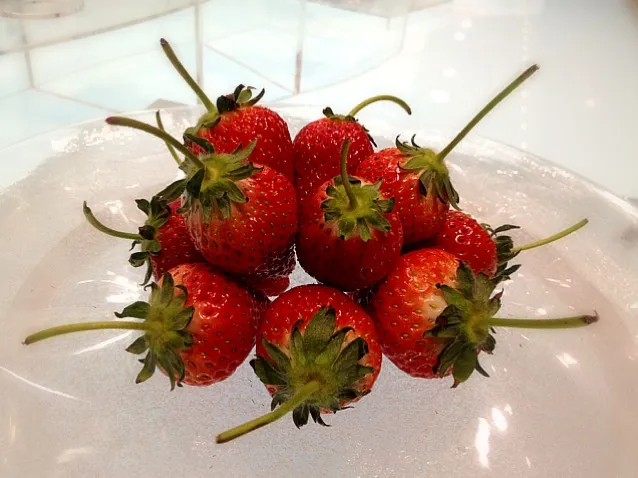 stem strawberries|willzさん