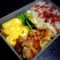 Snapdishの料理写真:鶏もも塩麹焼きべんとう|saoriさん