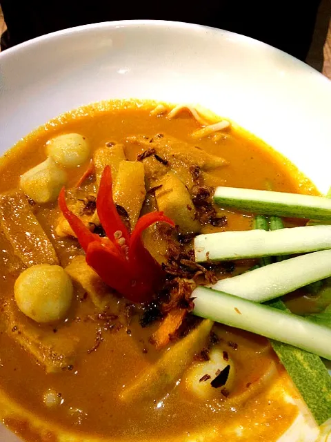 Snapdishの料理写真:malaysia.localfood.laksa|ej adamさん