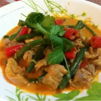 Snapdishの料理写真:Red Thai Chicken Curry|Hoさん