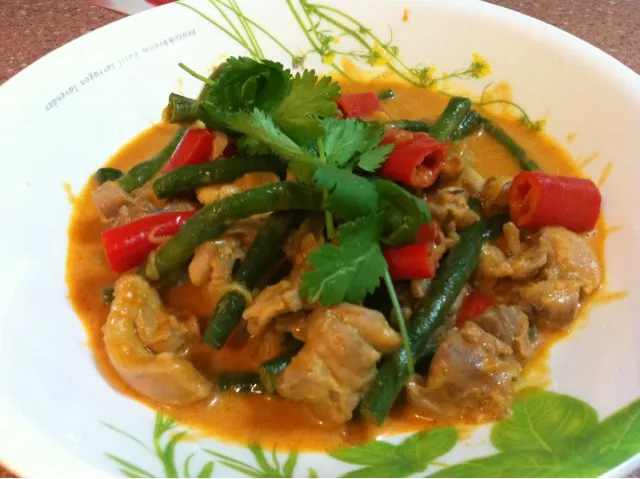 Snapdishの料理写真:Red Thai Chicken Curry|Hoさん