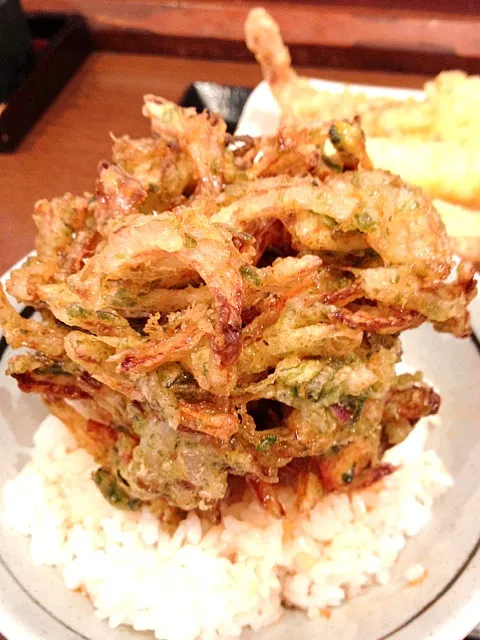 Snapdishの料理写真:あおさとイカのかき揚げ丼|yujiさん