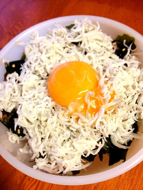 シラスの黄金丼|NYKさん