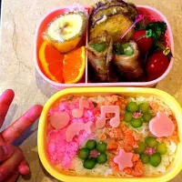 賑やか押し寿司弁当|じゃいこさん