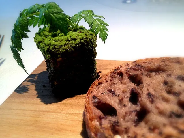 black rice bread & "moss" butter|willzさん