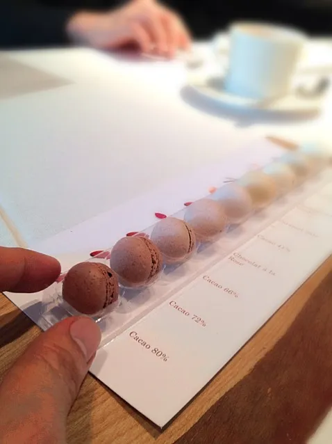 mini choc macarons|willzさん