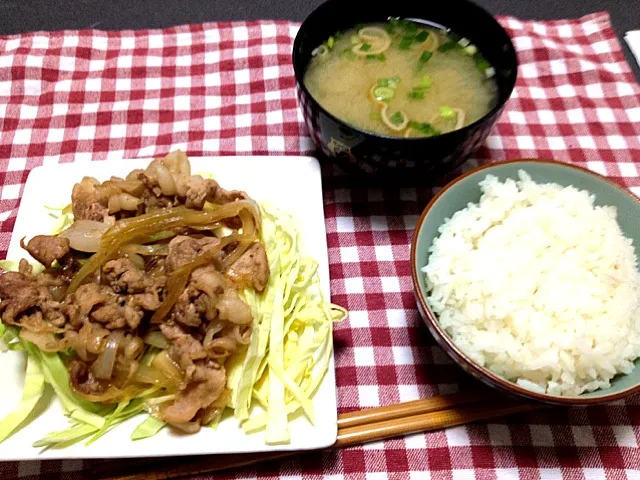 本日の手抜き夕飯|haruさん