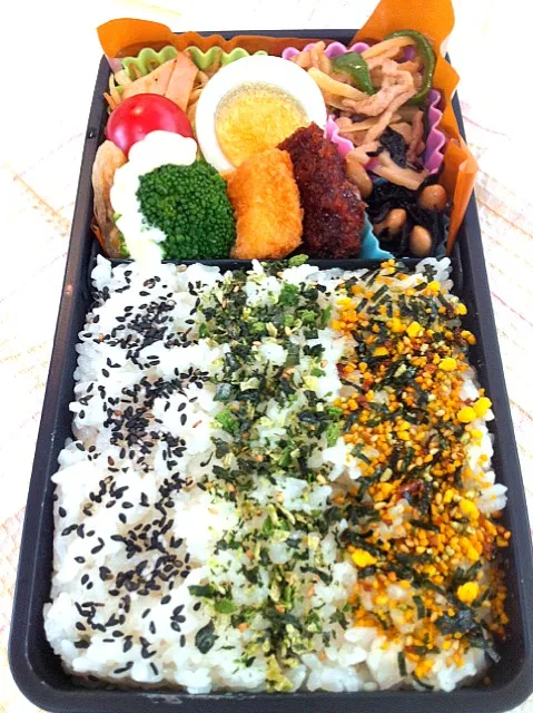 3/14  三色ご飯弁当💗|chiaki.kさん