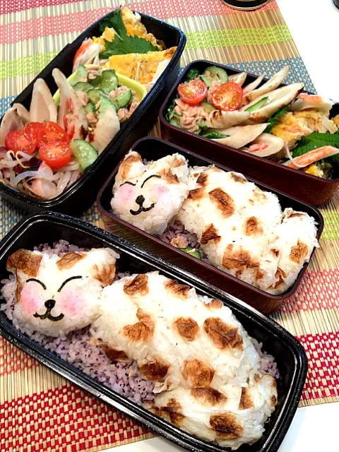 猫ちゃんの癒し弁当|かずさん