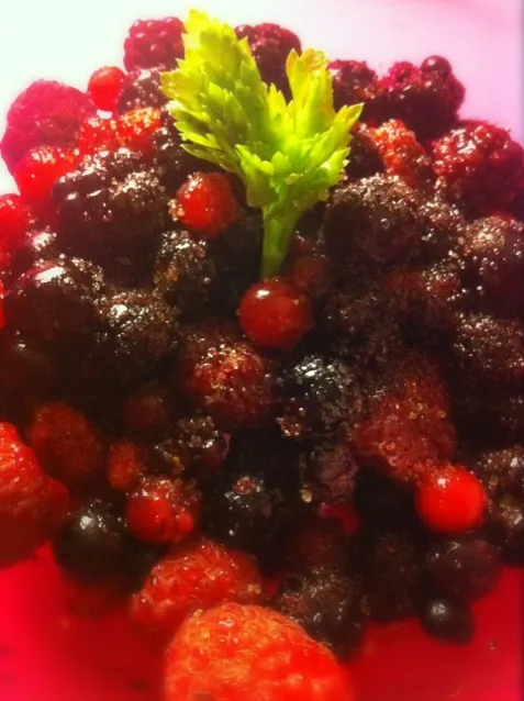 sugar coated frozen berry desert|ReciBellaさん