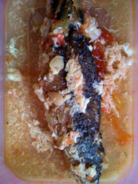 sarciadong isda for lunch|MARIAさん