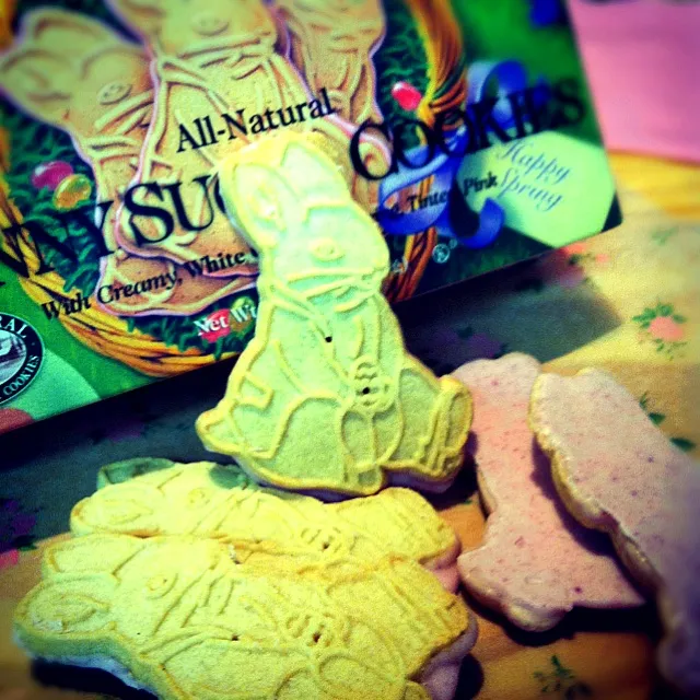 Snapdishの料理写真:！bunny sugar cookies！|tayukoさん