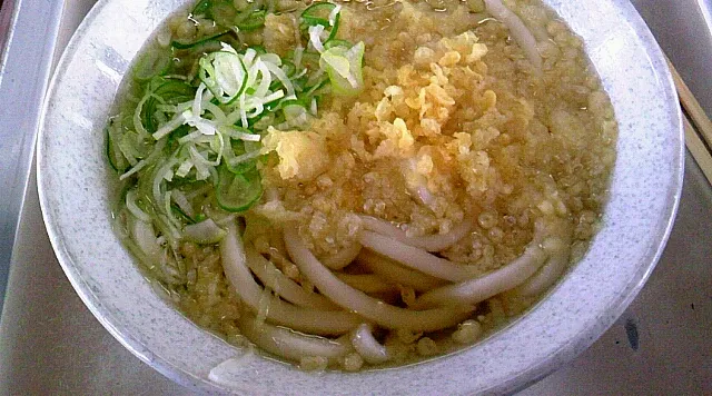 たぬきうどん|reさん