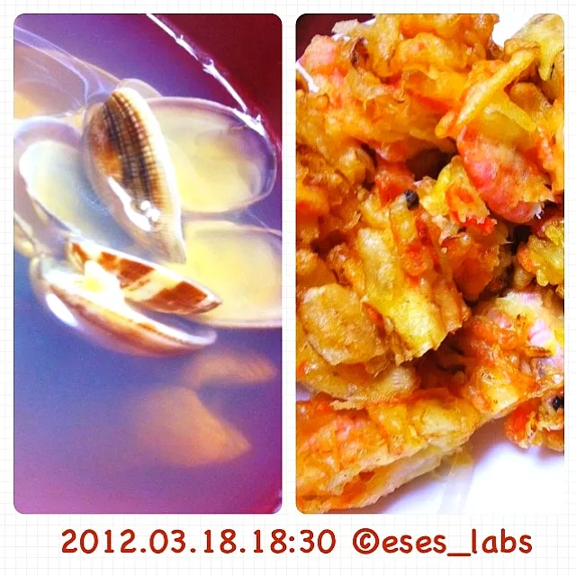 Snapdishの料理写真:.@tsuduketer  夕食: エビと野菜の天ぷら,アサリ汁,とろろごはん,サラダ,  煎茶 #gohan|gohan_70_dasさん