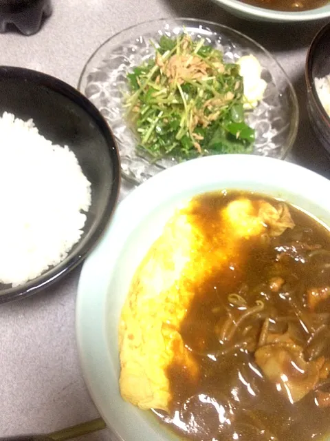 Snapdishの料理写真:チーズオムレツカレースープ、ツナみつば手作りドレッシングサラダ、白米。白米とカレースープをおかわりした！|ms903さん