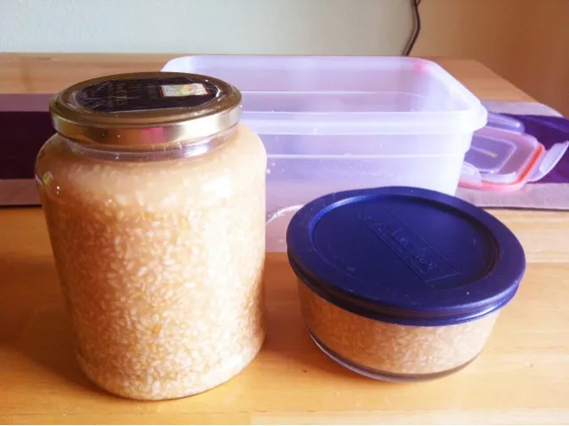 Japanese saltfermented rice koji (use as salt) / 塩コージ11日め。醸され臭が剥きたてバナナになったので常温終了！|mamakumiさん