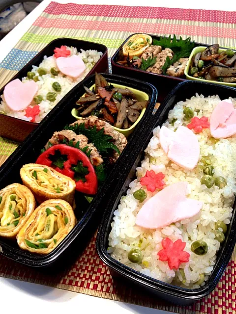 Snapdishの料理写真:桜舞う春の豆ごはん弁当|かずさん