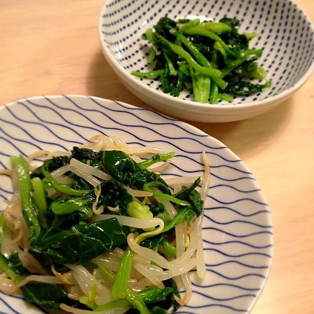 Snapdishの料理写真:じいちゃんの畑から小松菜が大量にやってきたので、小松菜ともやしのシャキシャキナムル、小松菜の塩麹漬け|ニコさん