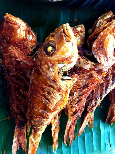 fried fish with kamin|Issara. 🍴さん