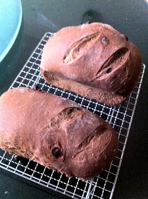 Snapdishの料理写真:Swiss chocolate bread|zeitwolerさん