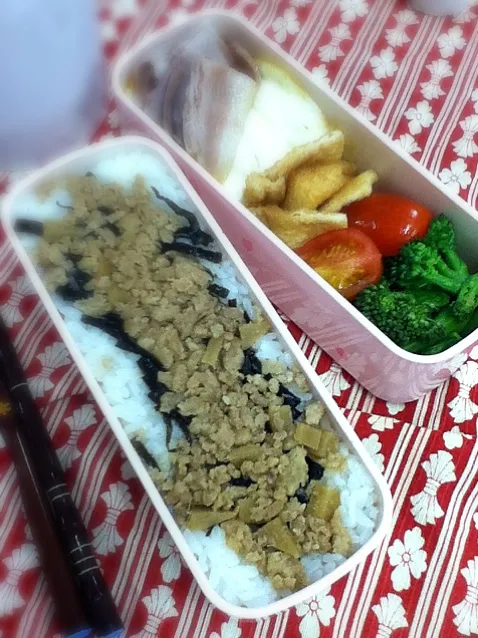 Snapdishの料理写真:鶏そぼろ丼弁当 #obento|hoppycowさん