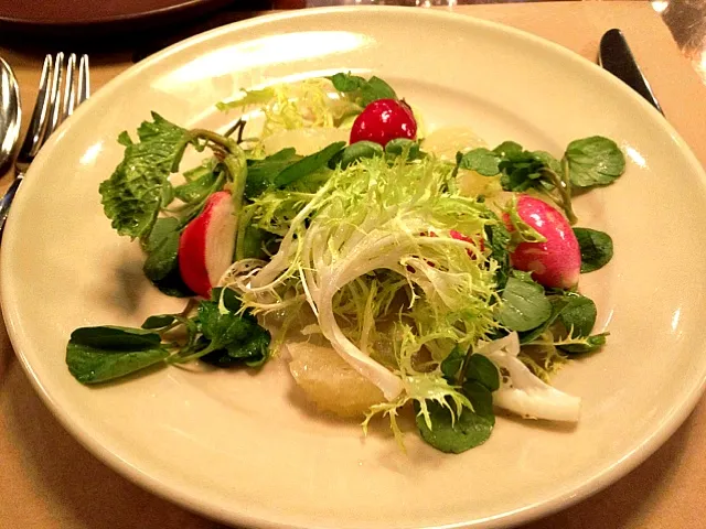 spring salad @ cotogna SF|Tinaさん