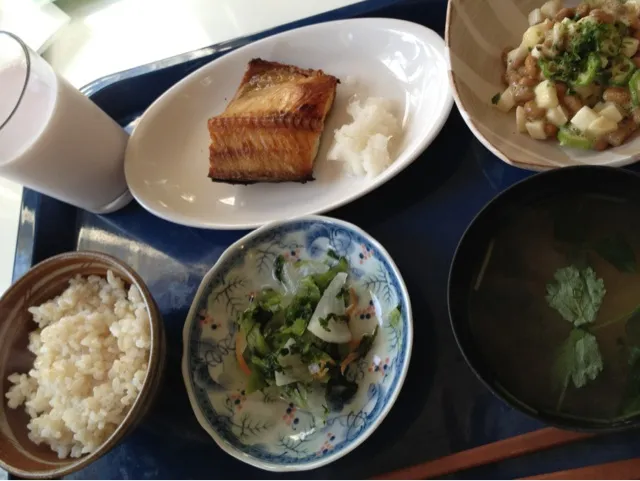 ホッケ干物 オクラ山芋納豆 おみ漬け ヨーグルトドリンク 野菜味噌汁|ishibashiさん