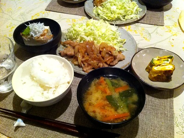 Snapdishの料理写真:生姜焼き、豆腐のしらすのせ、たまごやき。|takeharuさん