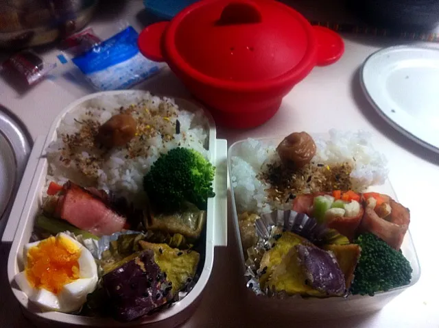 おべんと|知世さん