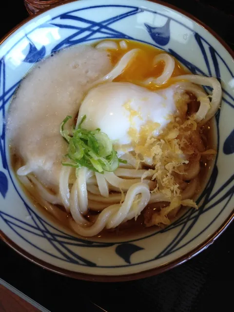 トロ玉うどん(冷)|gourmet farmさん