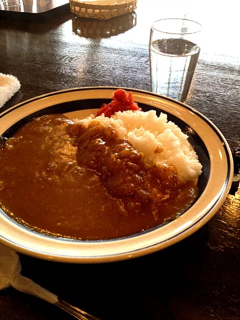 まさにカレーライス|大阪カレー部長さん