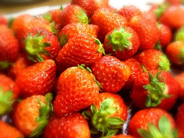 Strawberries Galore|eman guiruelaさん