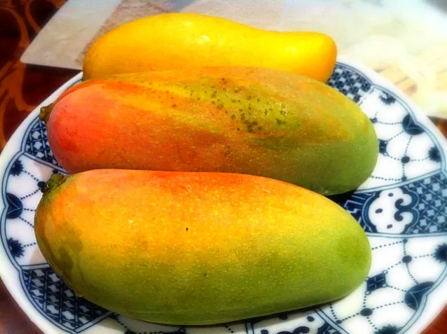 mango from the backyard|Soiさん