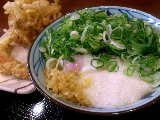 とろ玉うどん|ボンゴさん