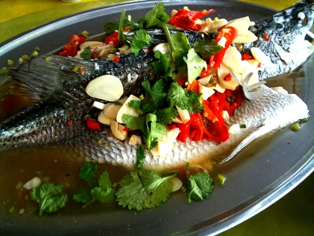 Steamed Siakap in Thai Style|Shiroi Yukiさん