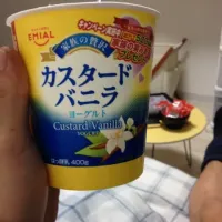 custard vanilla yogurt|Okuboさん