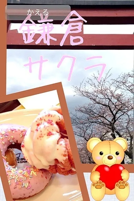 Snapdishの料理写真:花見ドーナツ|ゆっきーさん