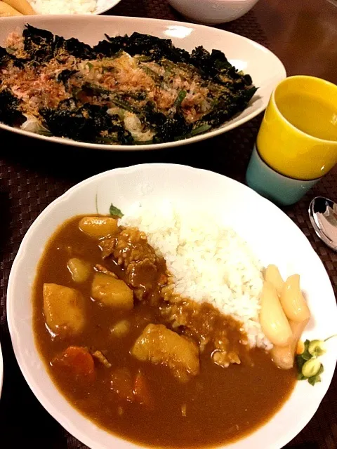 カレーライス！新玉ねぎサラダ！|ぷっちょさん