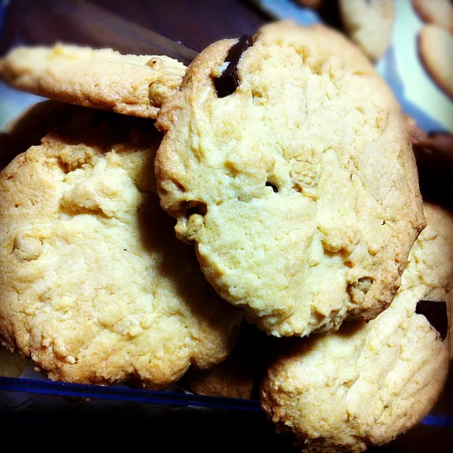 chocolate chip cookies|melia oさん