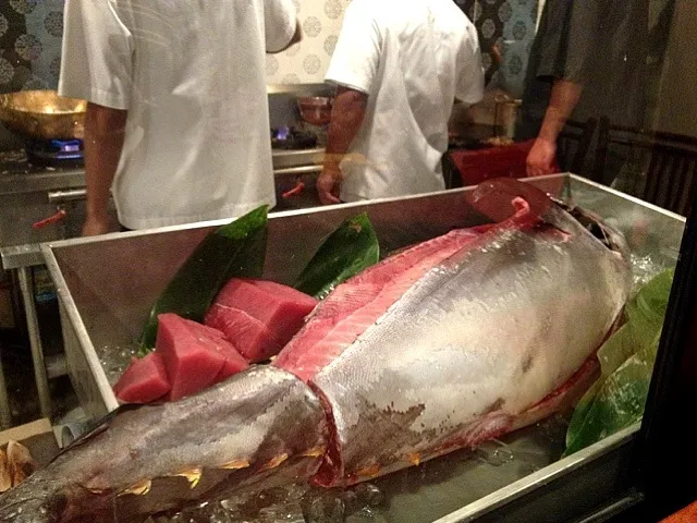 Blue Fin Tuna|Tabui Taboさん