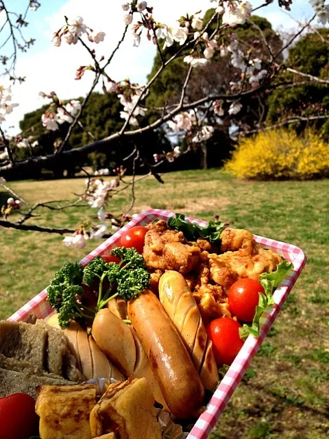 花見弁当♪|NYKさん