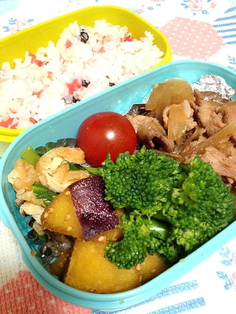 明日のお弁当|ドラたんさん