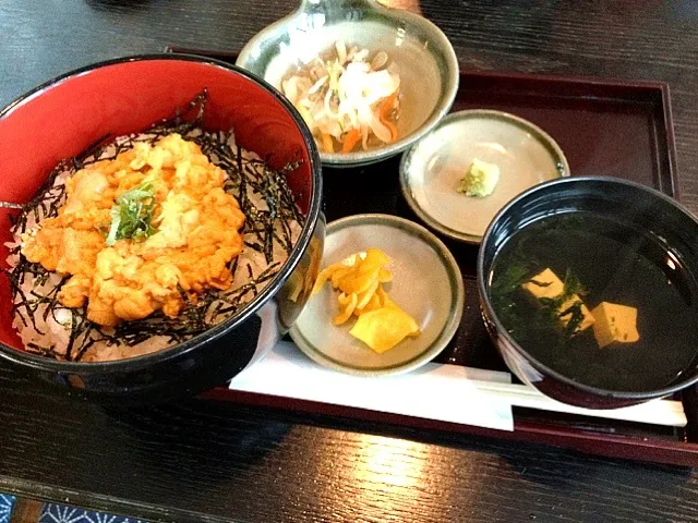 人生初。阿久根うに丼祭り。|あきらさん