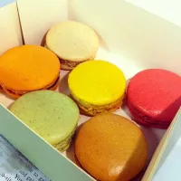 macaron from laduree