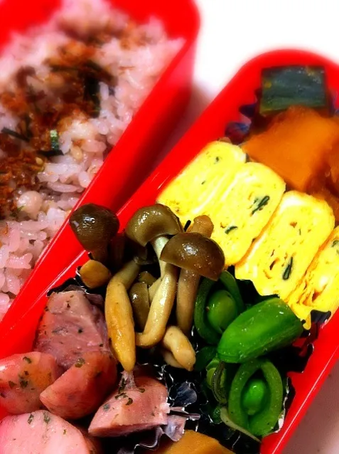 本日のお弁当|まりもさん