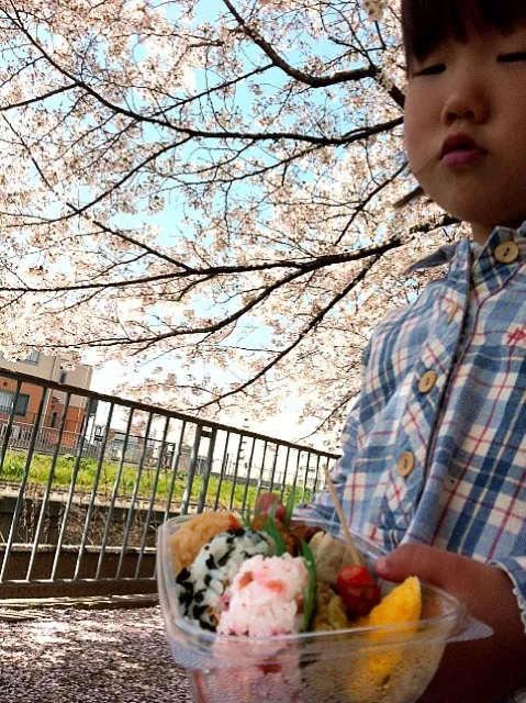 Snapdishの料理写真:お弁当買って桜の下でランチタイム♪♪|yuriさん