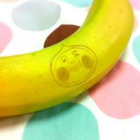 カクレモモジリ