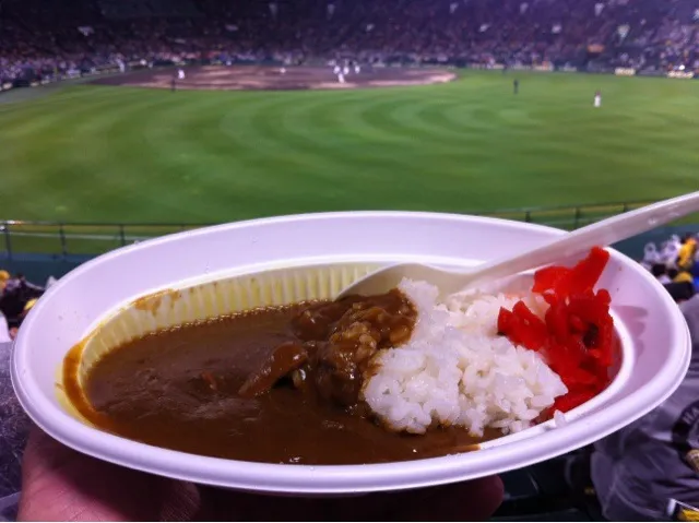 甲子園ホルモンカレー！寒いので。|たけうちさん